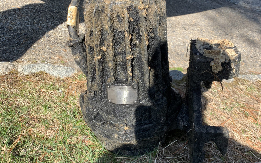 35 Year Old Piranha Grinder Pump